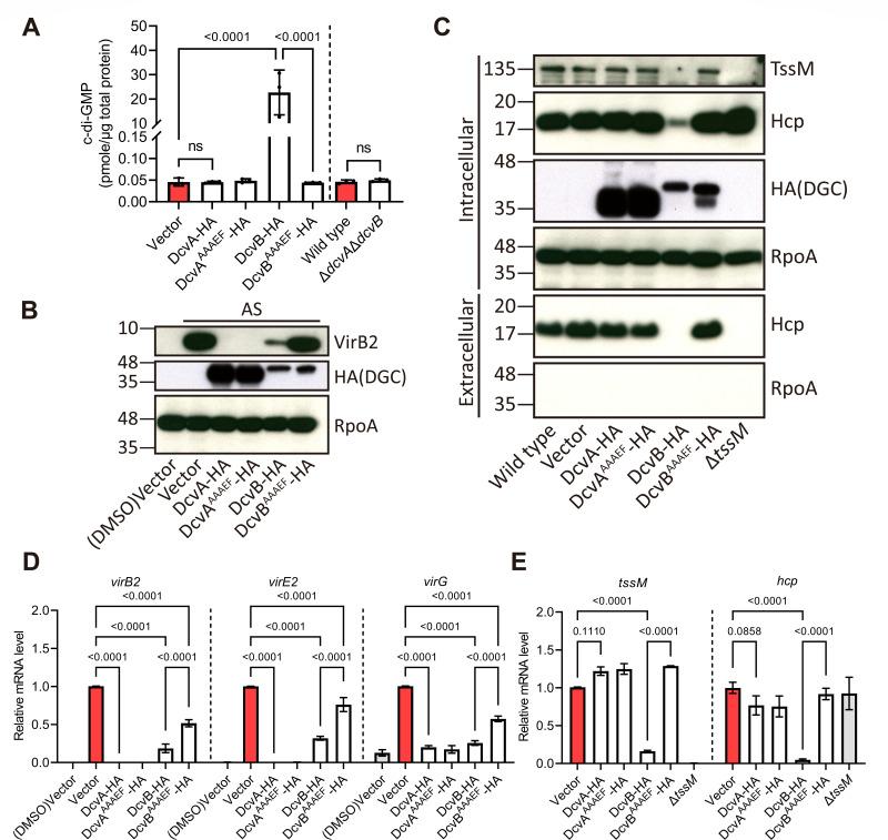 https://cdn.ncbi.nlm.nih.gov/pmc/blobs/0577/12077199/93b181c1ebe6/mbio.00039-25.f004.jpg