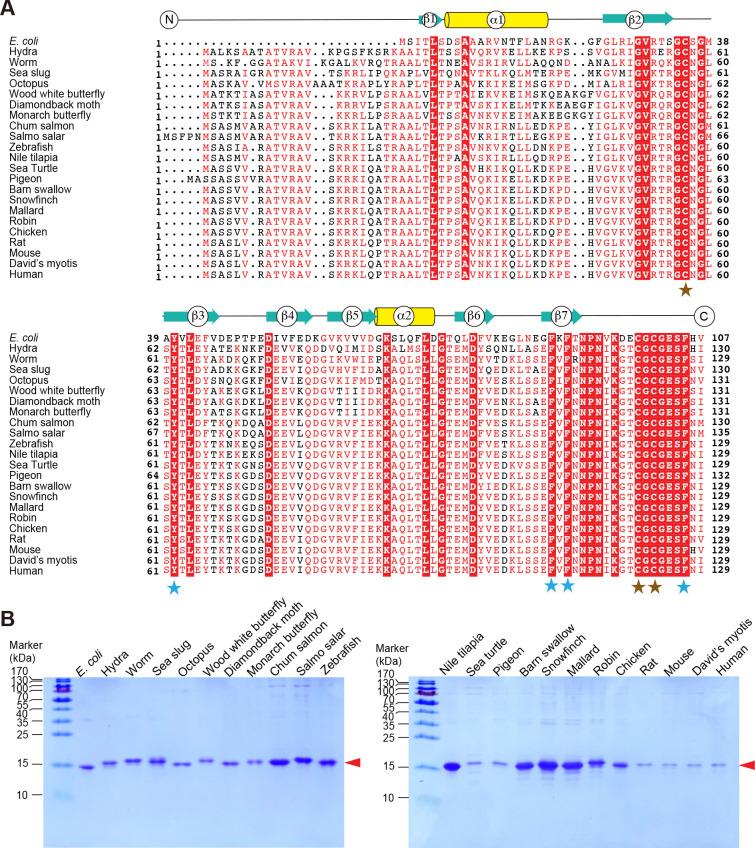 https://cdn.ncbi.nlm.nih.gov/pmc/blobs/0579/11298677/3c7e1101359b/zr-45-4-821-1.jpg