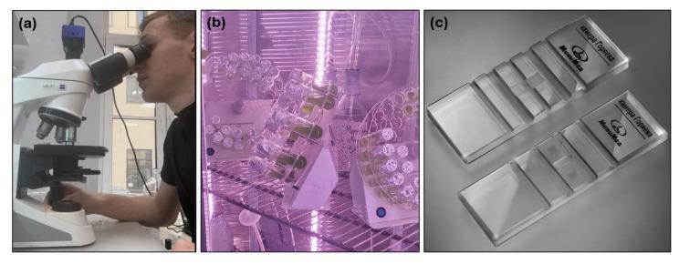 https://cdn.ncbi.nlm.nih.gov/pmc/blobs/0579/12349023/1ff6734c738f/sensors-25-04651-g004.jpg