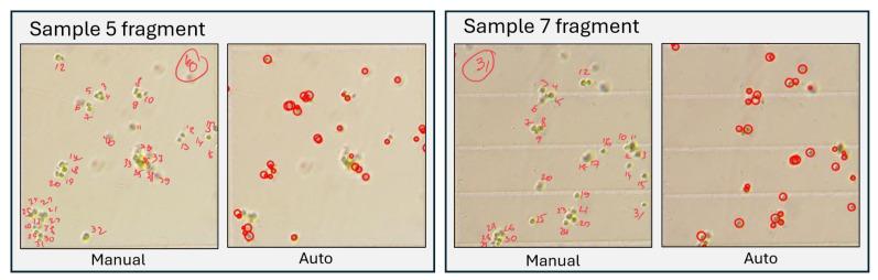 https://cdn.ncbi.nlm.nih.gov/pmc/blobs/0579/12349023/281d506f965e/sensors-25-04651-g015.jpg