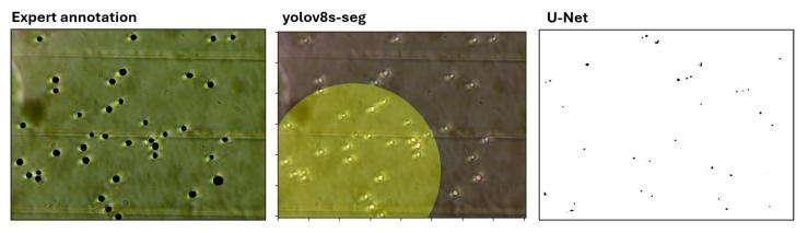 https://cdn.ncbi.nlm.nih.gov/pmc/blobs/0579/12349023/9acde0527fee/sensors-25-04651-g007.jpg