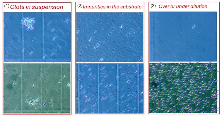 https://cdn.ncbi.nlm.nih.gov/pmc/blobs/0579/12349023/bb99eb716e61/sensors-25-04651-g016.jpg