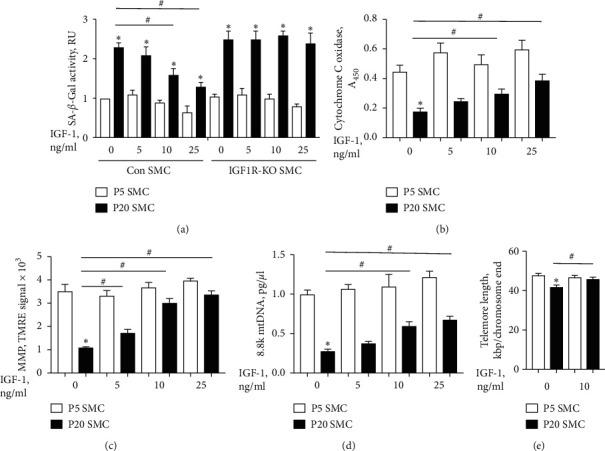 https://cdn.ncbi.nlm.nih.gov/pmc/blobs/0579/7416301/12faa402426f/JAR2020-4939310.001.jpg