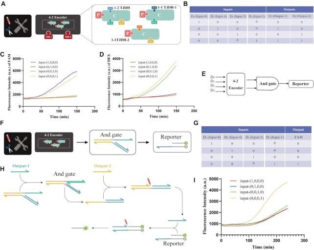 https://cdn.ncbi.nlm.nih.gov/pmc/blobs/057a/9410916/2acedec5744d/gkac650fig5.jpg