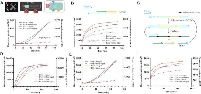 https://cdn.ncbi.nlm.nih.gov/pmc/blobs/057a/9410916/9d38f49bd761/gkac650fig2.jpg