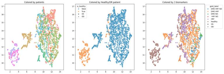 https://cdn.ncbi.nlm.nih.gov/pmc/blobs/057b/10795694/5e2ee66de7a6/diagnostics-14-00076-g008.jpg