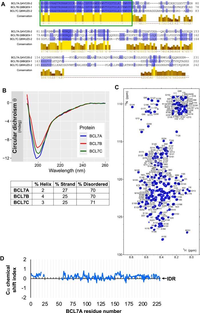 https://cdn.ncbi.nlm.nih.gov/pmc/blobs/057b/11983133/91f3afe1363b/gkaf273fig1.jpg