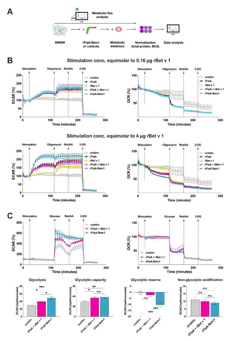 https://cdn.ncbi.nlm.nih.gov/pmc/blobs/057c/8534024/7a0b88cbeda2/cells-10-02614-g002.jpg