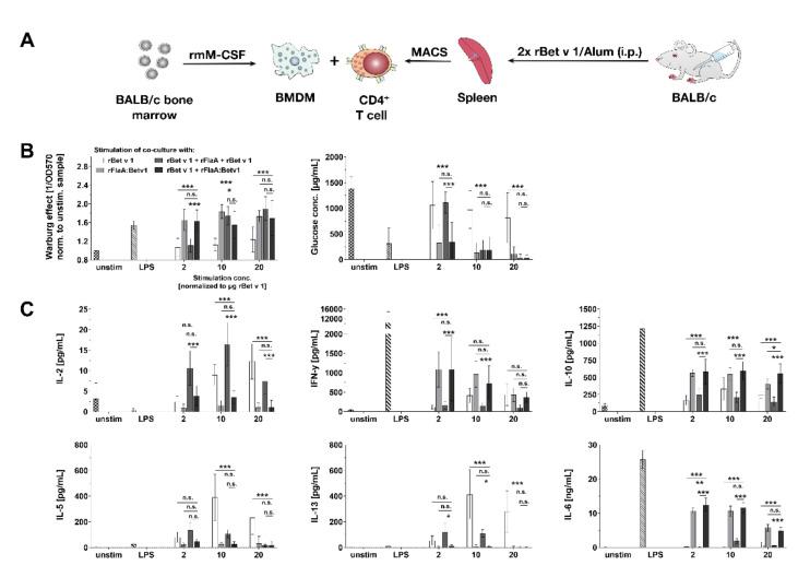 https://cdn.ncbi.nlm.nih.gov/pmc/blobs/057c/8534024/e2def3ed57b0/cells-10-02614-g007.jpg