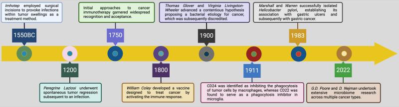 https://cdn.ncbi.nlm.nih.gov/pmc/blobs/0584/12328415/35587310bc0e/fimmu-16-1614731-g002.jpg