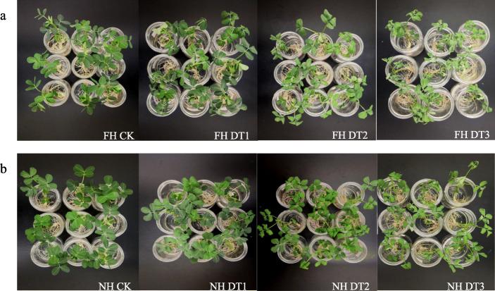 https://cdn.ncbi.nlm.nih.gov/pmc/blobs/0584/7839228/b336d6d96f03/12870_2020_2761_Fig2_HTML.jpg