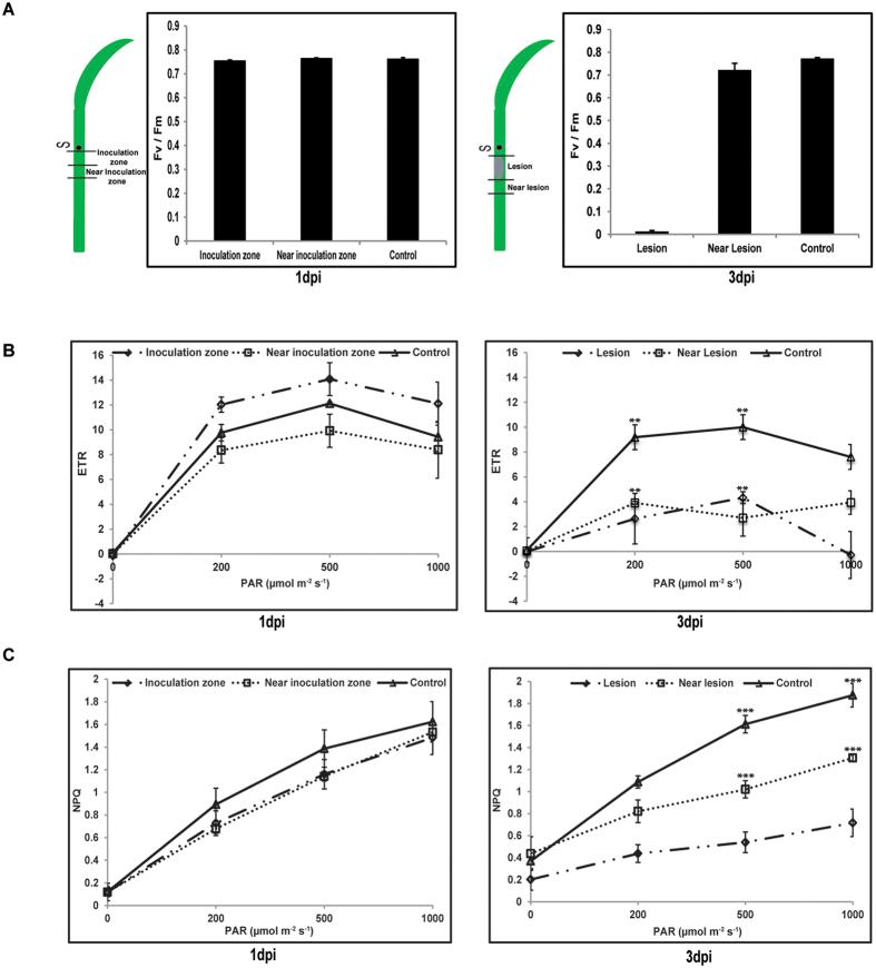 https://cdn.ncbi.nlm.nih.gov/pmc/blobs/0585/5292701/b4fbb39de770/srep41610-f4.jpg