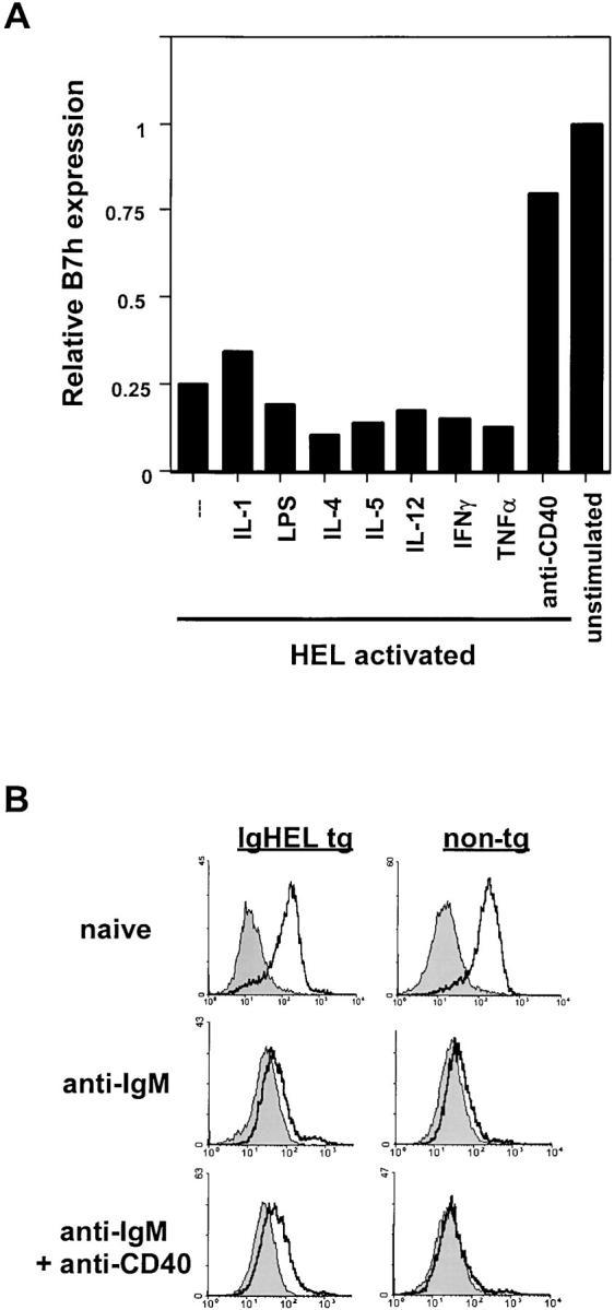 https://cdn.ncbi.nlm.nih.gov/pmc/blobs/0586/2194020/6cbb1daafaa5/20020298f6.jpg
