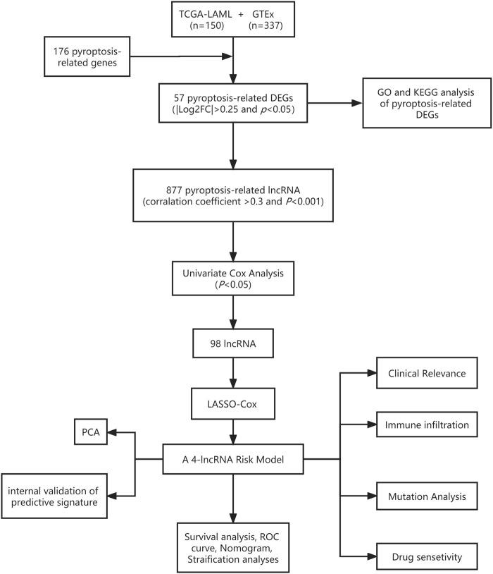 https://cdn.ncbi.nlm.nih.gov/pmc/blobs/0589/9845279/5f8b9909a129/fgene-13-1029717-g001.jpg