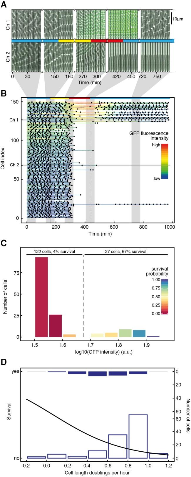 https://cdn.ncbi.nlm.nih.gov/pmc/blobs/058a/4138020/04c1d55e13f5/pbio.1001928.g001.jpg