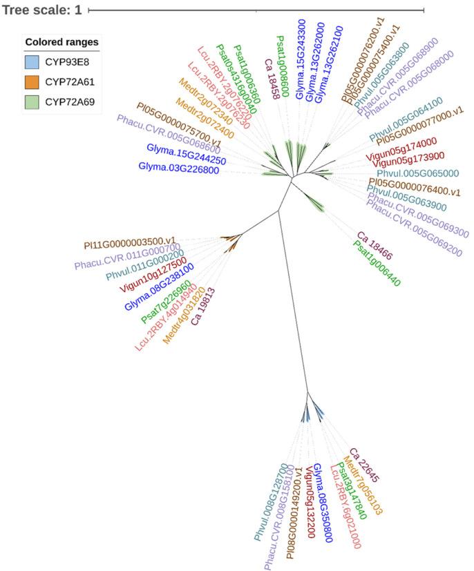 https://cdn.ncbi.nlm.nih.gov/pmc/blobs/058a/9780904/e3e8f142c81b/plants-11-03505-g003.jpg