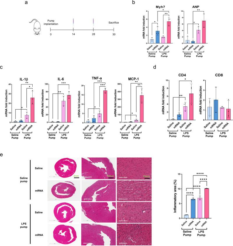 https://cdn.ncbi.nlm.nih.gov/pmc/blobs/058b/10869740/a8a3727656a8/41541_2024_825_Fig3_HTML.jpg