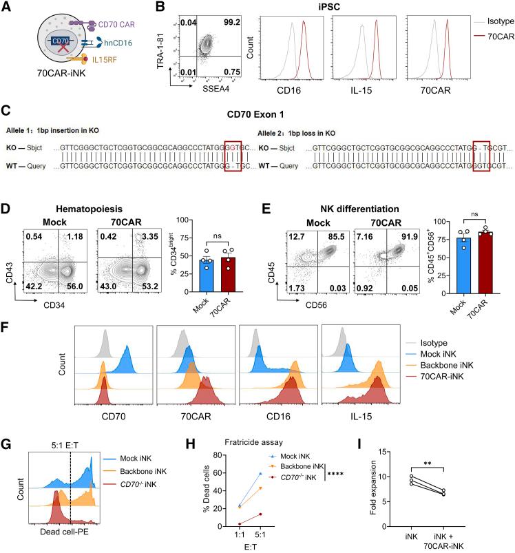 https://cdn.ncbi.nlm.nih.gov/pmc/blobs/058b/11866492/221598bd2478/gr2.jpg