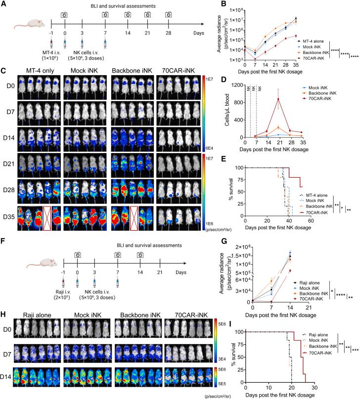 https://cdn.ncbi.nlm.nih.gov/pmc/blobs/058b/11866492/8983f307baa8/gr4.jpg