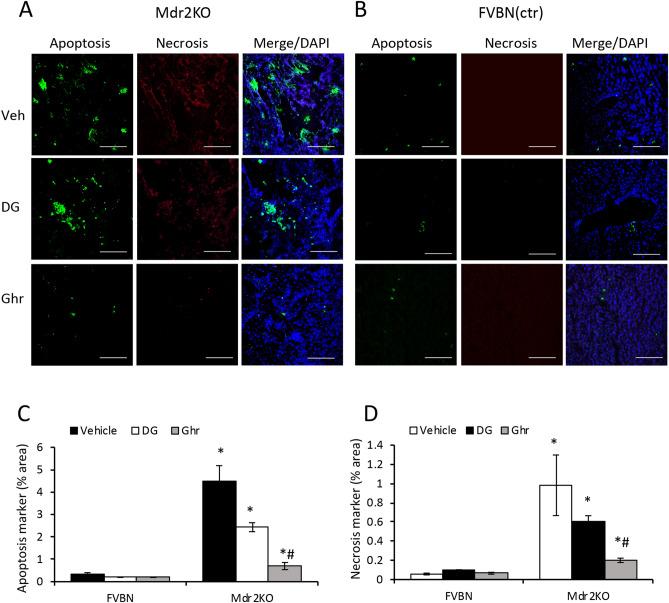https://cdn.ncbi.nlm.nih.gov/pmc/blobs/058b/7525536/8db2dc534db7/41598_2020_72681_Fig8_HTML.jpg