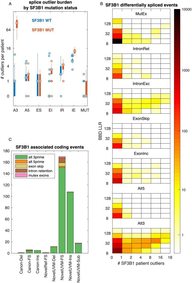 https://cdn.ncbi.nlm.nih.gov/pmc/blobs/058d/8144374/3d257856b763/41598_2021_89938_Fig5_HTML.jpg
