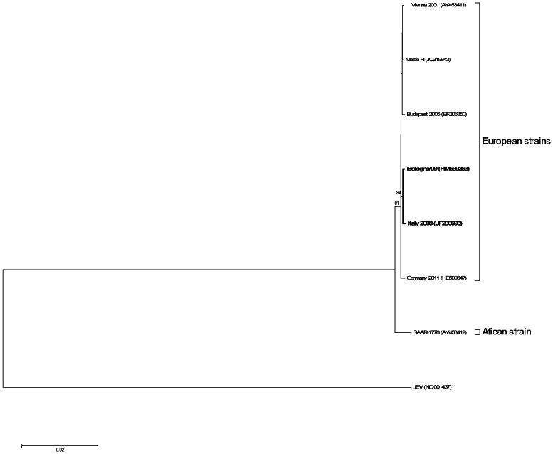 https://cdn.ncbi.nlm.nih.gov/pmc/blobs/058e/3669420/7e81673fadeb/pone.0064761.g003.jpg