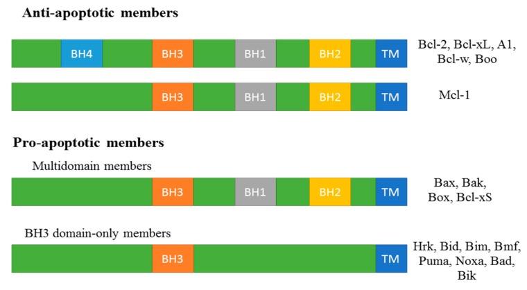 https://cdn.ncbi.nlm.nih.gov/pmc/blobs/058f/4730257/2bcb72173087/ijms-17-00010-g002.jpg