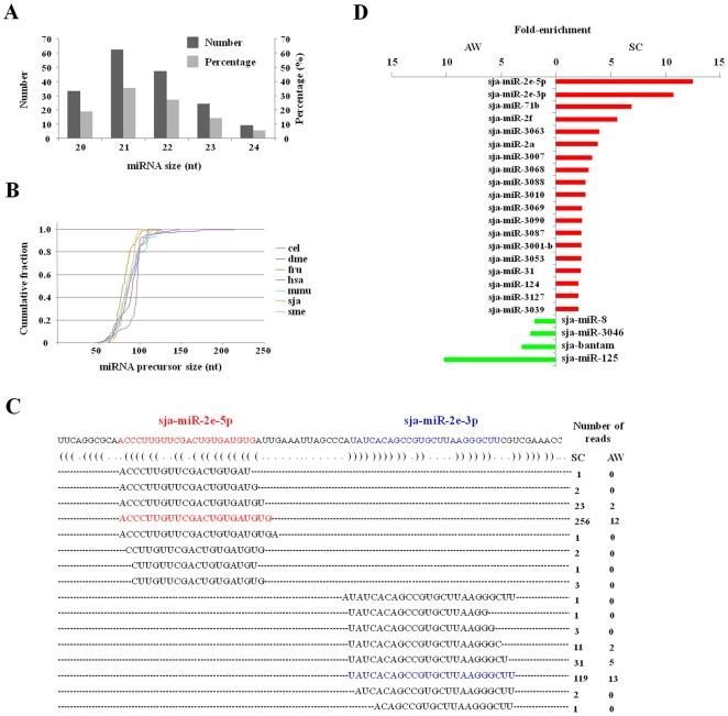 https://cdn.ncbi.nlm.nih.gov/pmc/blobs/0591/2785426/39f80a1d5b1c/pone.0008206.g003.jpg