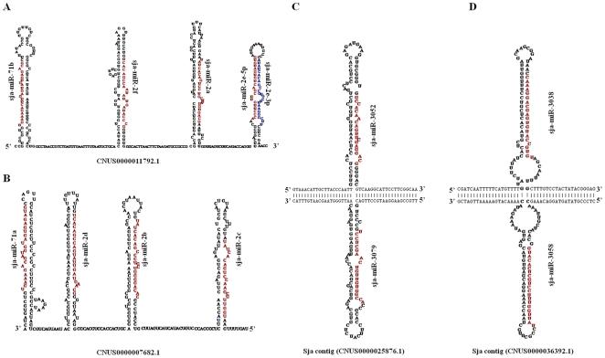 https://cdn.ncbi.nlm.nih.gov/pmc/blobs/0591/2785426/8e072786c091/pone.0008206.g004.jpg