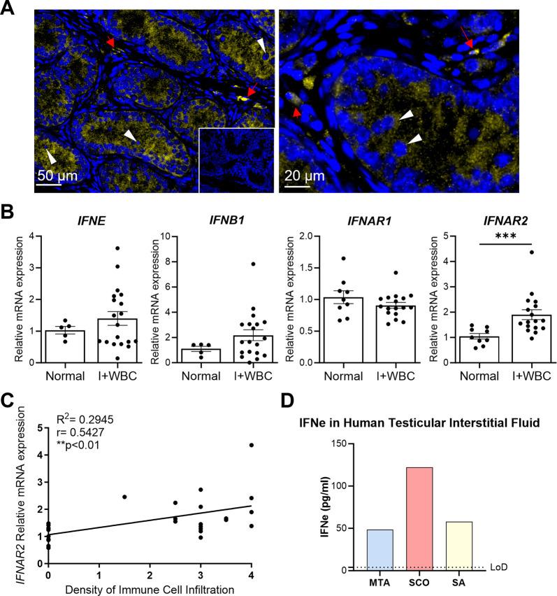 https://cdn.ncbi.nlm.nih.gov/pmc/blobs/0593/11637430/06647f7bb27d/ppat.1012702.g002.jpg