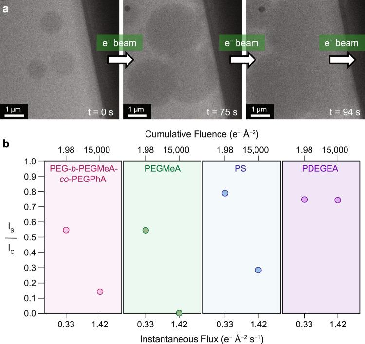 https://cdn.ncbi.nlm.nih.gov/pmc/blobs/0594/10257671/43296780698b/41467_2023_38781_Fig2_HTML.jpg