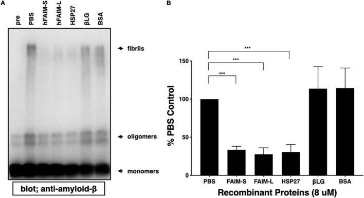 https://cdn.ncbi.nlm.nih.gov/pmc/blobs/0594/8712662/81f5d4e33a4a/fnmol-14-750578-g002.jpg