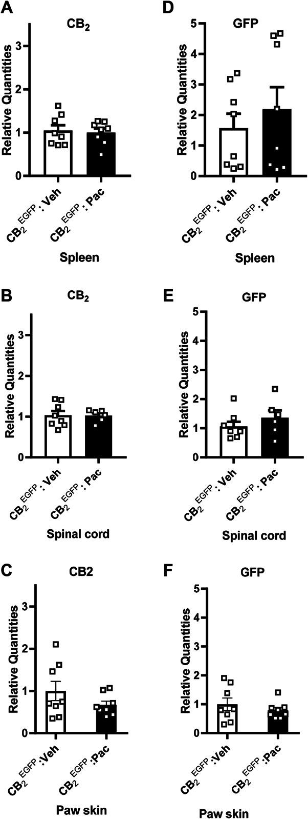 https://cdn.ncbi.nlm.nih.gov/pmc/blobs/0595/9009323/6005c3bca70e/jop-163-834-g002.jpg