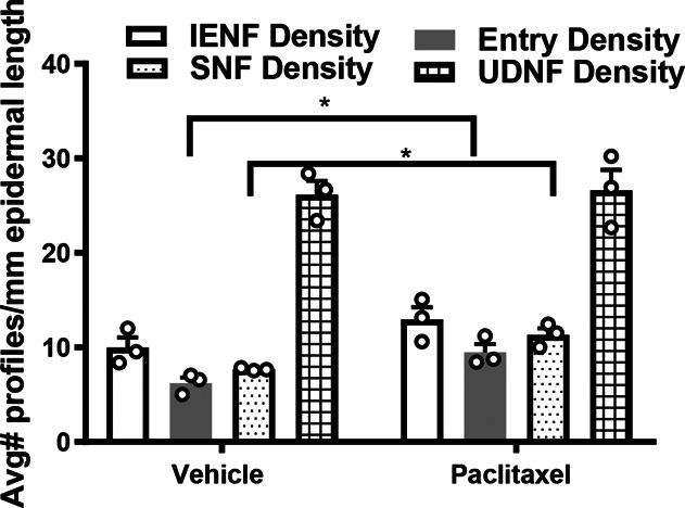 https://cdn.ncbi.nlm.nih.gov/pmc/blobs/0595/9009323/683a5aace36e/jop-163-834-g013.jpg