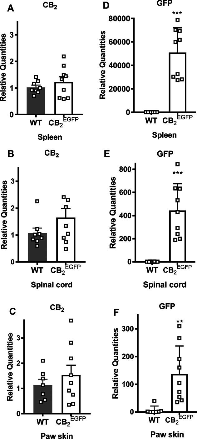 https://cdn.ncbi.nlm.nih.gov/pmc/blobs/0595/9009323/81cfc876be2b/jop-163-834-g001.jpg