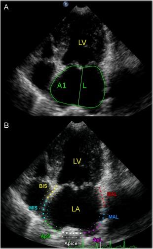 https://cdn.ncbi.nlm.nih.gov/pmc/blobs/0598/5980607/508c486f4665/JVIM-32-914-g001.jpg