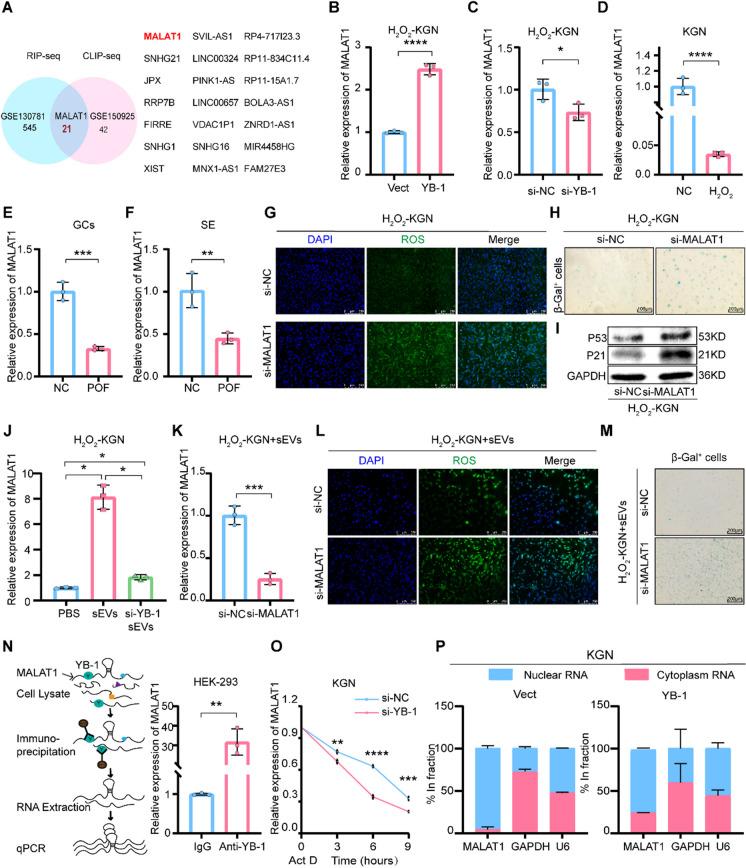 https://cdn.ncbi.nlm.nih.gov/pmc/blobs/0599/11068691/986424c36211/10565_2024_9871_Fig2_HTML.jpg