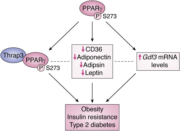 https://cdn.ncbi.nlm.nih.gov/pmc/blobs/0599/8387755/d39c3c7f4533/gr3.jpg