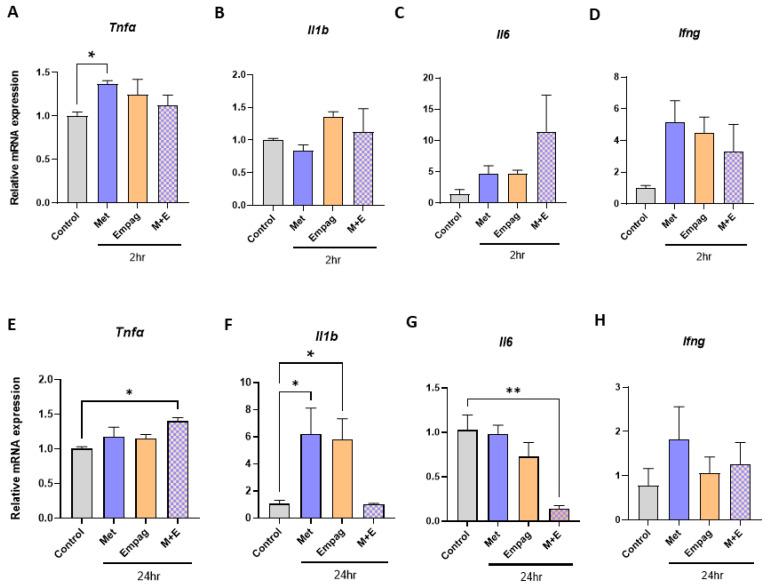 https://cdn.ncbi.nlm.nih.gov/pmc/blobs/059a/10003317/ad19cfba07ac/ijms-24-04785-g003.jpg