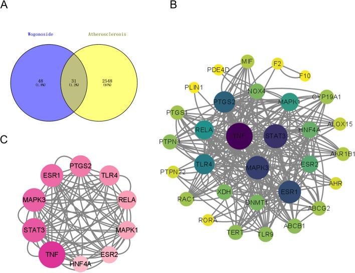 https://cdn.ncbi.nlm.nih.gov/pmc/blobs/059a/11770944/0fc24317f9d2/12906_2025_4760_Fig1_HTML.jpg