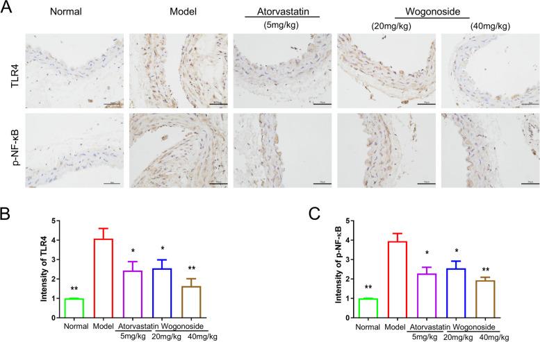 https://cdn.ncbi.nlm.nih.gov/pmc/blobs/059a/11770944/88701b33f403/12906_2025_4760_Fig10_HTML.jpg