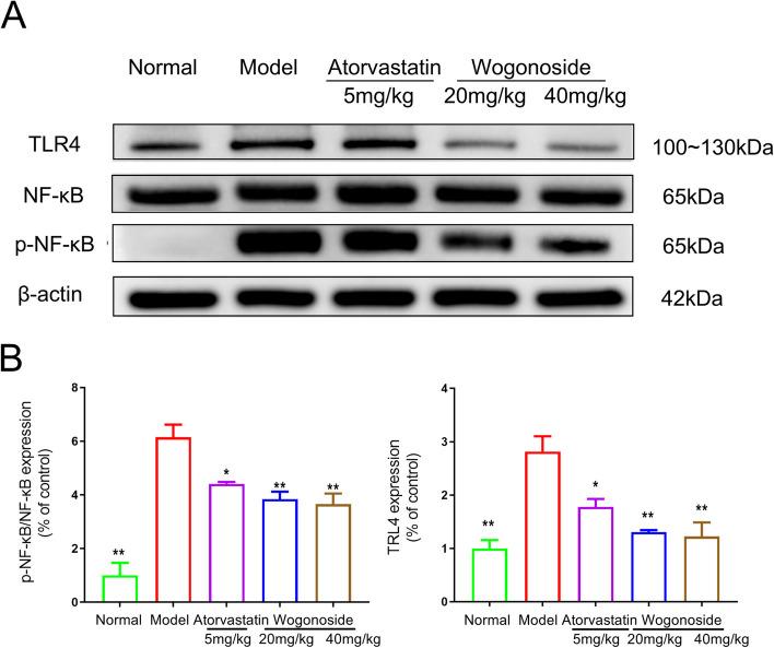 https://cdn.ncbi.nlm.nih.gov/pmc/blobs/059a/11770944/8f3c9b146f38/12906_2025_4760_Fig11_HTML.jpg