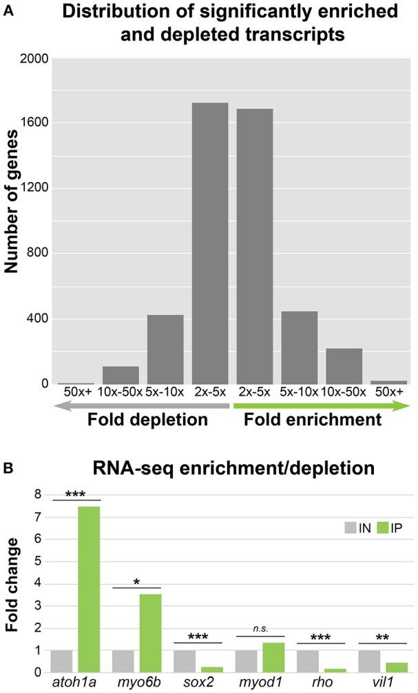 https://cdn.ncbi.nlm.nih.gov/pmc/blobs/059a/6120597/5ec6928b21e7/fcell-06-00084-g0001.jpg