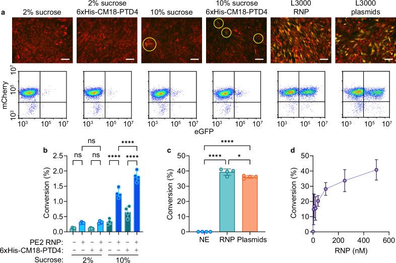 https://cdn.ncbi.nlm.nih.gov/pmc/blobs/059d/11754100/1829e045931d/41551_2024_1296_Fig7_ESM.jpg