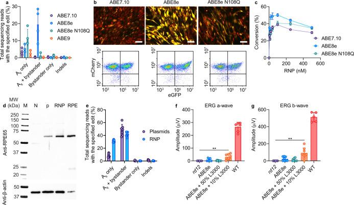 https://cdn.ncbi.nlm.nih.gov/pmc/blobs/059d/11754100/56517780bfcb/41551_2024_1296_Fig8_ESM.jpg