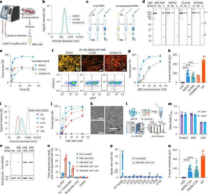 https://cdn.ncbi.nlm.nih.gov/pmc/blobs/059d/11754100/9945d1d8838f/41551_2024_1296_Fig4_HTML.jpg