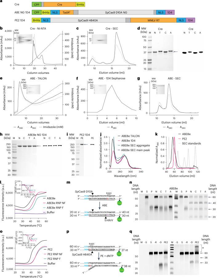https://cdn.ncbi.nlm.nih.gov/pmc/blobs/059d/11754100/aa72c82a51a8/41551_2024_1296_Fig1_HTML.jpg