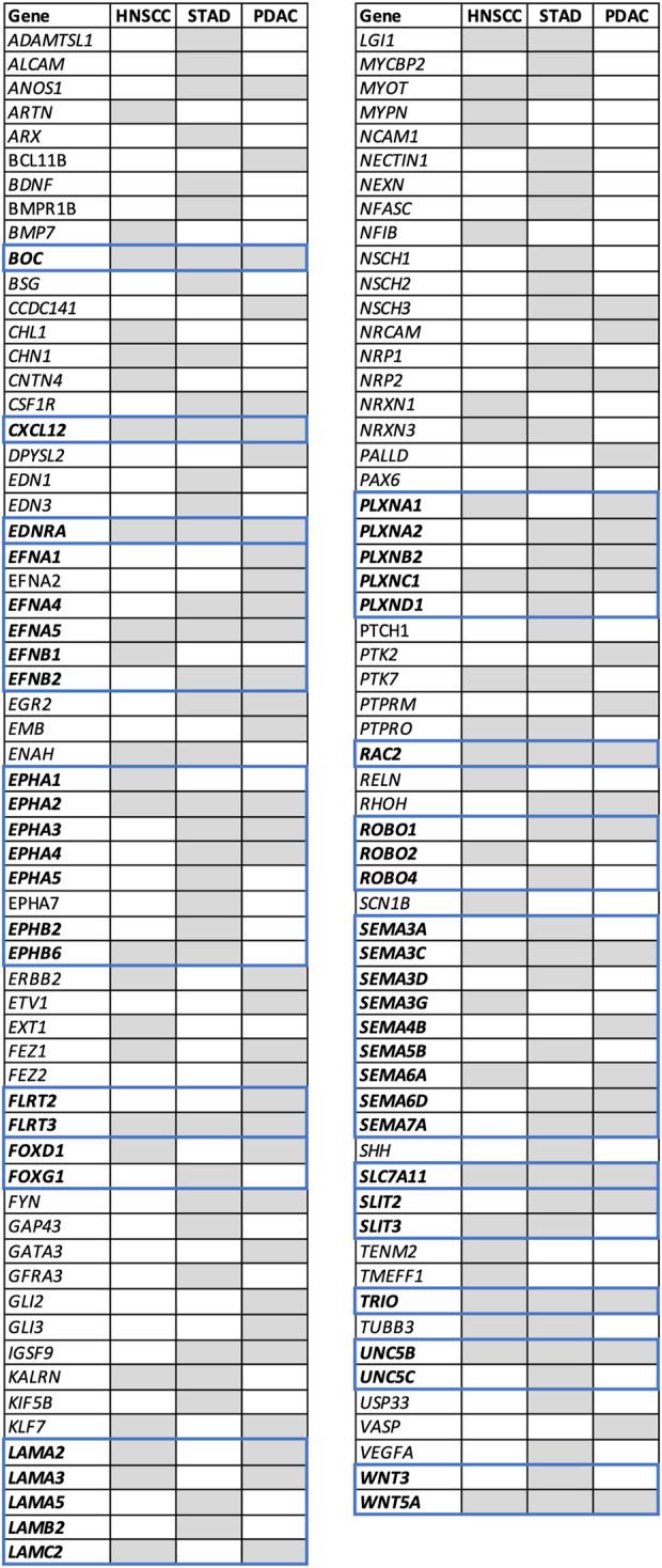 https://cdn.ncbi.nlm.nih.gov/pmc/blobs/059f/10501147/951dac3bc4b8/fgene-14-1181775-g004.jpg