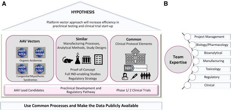 https://cdn.ncbi.nlm.nih.gov/pmc/blobs/05a0/11971537/2ce8c9b3be7d/hum.2024.230_figure1.jpg