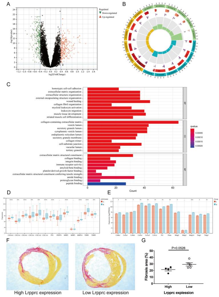 https://cdn.ncbi.nlm.nih.gov/pmc/blobs/05a1/10758152/b7d27f732266/ijmsv21p0219g006.jpg